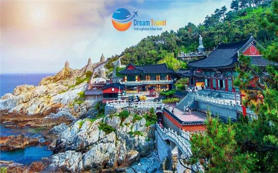 Tour Hàn Quốc Giá Rẻ 6N5Đ: Ngắm Hoa Anh Đào 2026